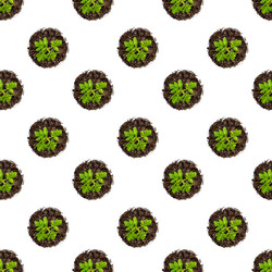 Similar image 21108313