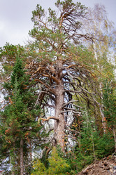 Similar image 21109573