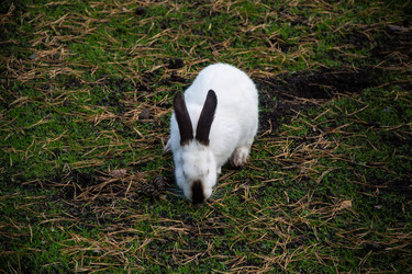 Similar image 21109575