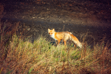 Similar image 21109576