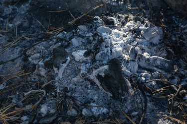 Similar image 21109577