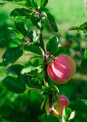 Similar image 21113690