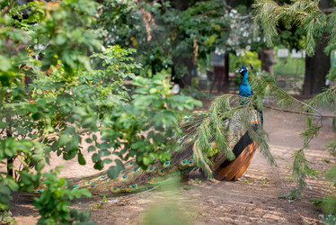 Similar image 21113692