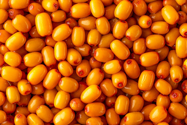 Similar image 21109597