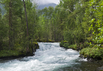 Similar image 21109691