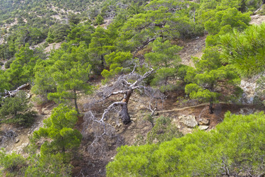 Similar image 21109692