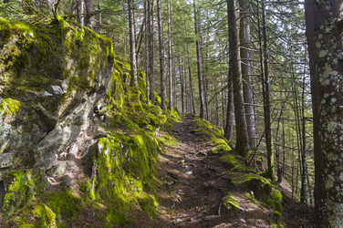 Similar image 21109703