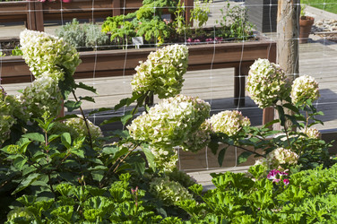 Similar image 21109705