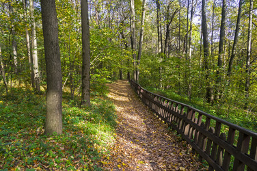 Similar image 21109707