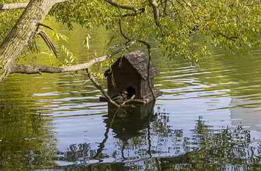 Similar image 21109708