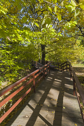 Similar image 21109710