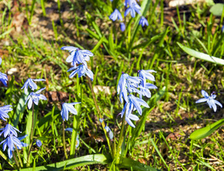 Similar image 21109713