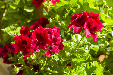 Similar image 21109714