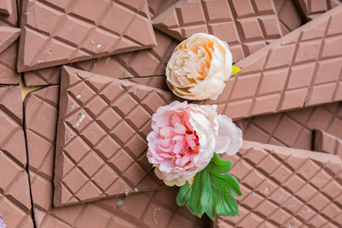 Similar image 21130471