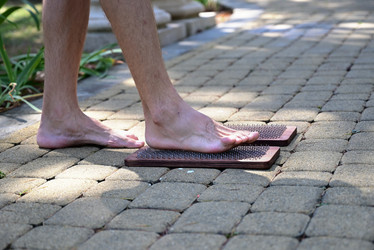 Similar image 21108679