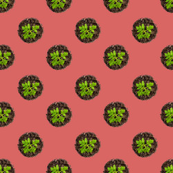 Similar image 21114392