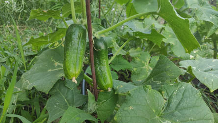 Similar image 21112483