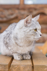 Similar image 21131397