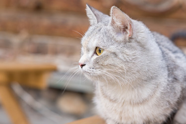 Similar image 21131399