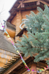 Similar image 21131407