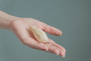 Similar image 21131692