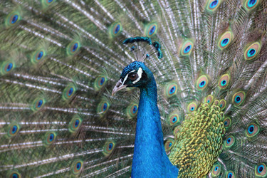 Similar image 21115210