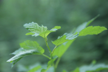 Similar image 21115211