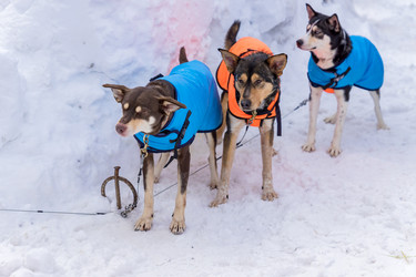 Similar image 21113323