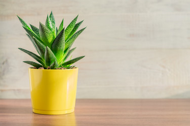 Similar image 21113331