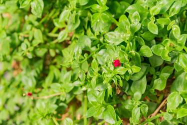 Similar image 21113335