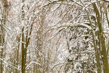 Similar image 21127560