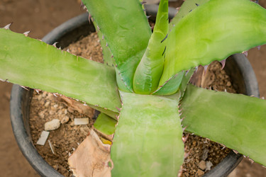 Similar image 21127564