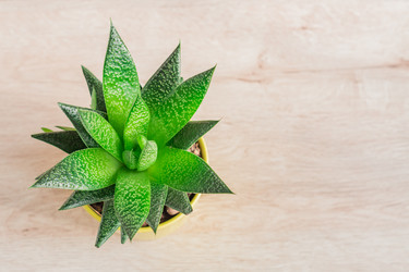 Similar image 21127576