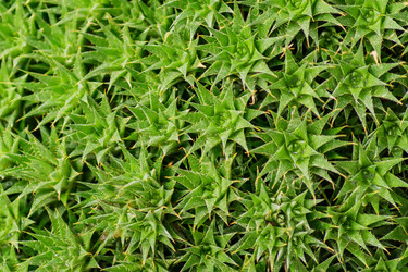 Similar image 21127578