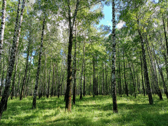 Similar image 21111150