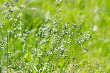 Similar image 21111152