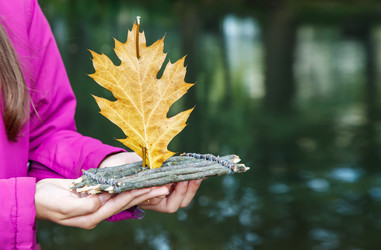 Similar image 21124805