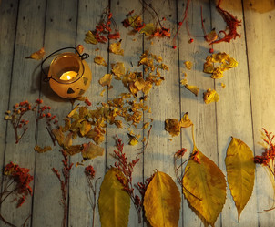 Similar image 21111162