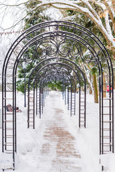 Similar image 21131412