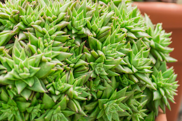 Similar image 21131413