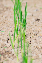 Similar image 21131431