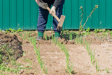 Similar image 21131433