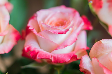 Similar image 21131434