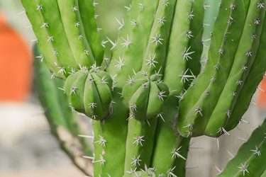 Similar image 21131637