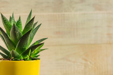 Similar image 21131639