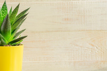 Similar image 21131641