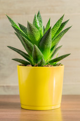 Similar image 21131645