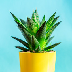 Similar image 21131647