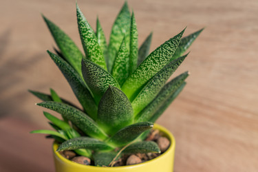 Similar image 21131707