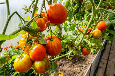 Similar image 21112492